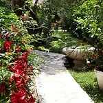 Sun * セゲット・ヴラニツァ