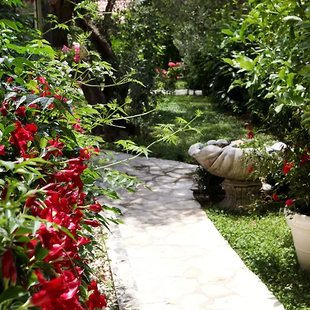 Sun * Seget Vranjica